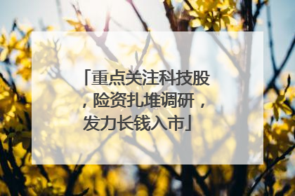 重点关注科技股，险资扎堆调研，发力长钱入市